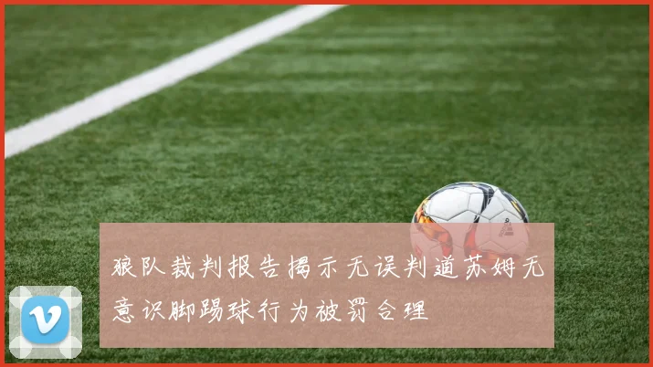 狼队裁判报告揭示无误判道苏姆无意识脚踢球行为被罚合理
