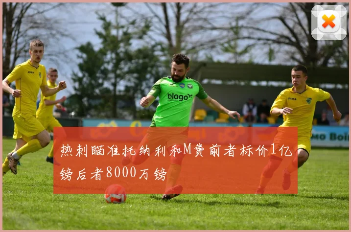 热刺瞄准托纳利和M费前者标价1亿镑后者8000万镑