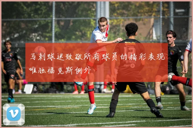 马刺球迷致敬所有球员的精彩表现唯独福克斯例外