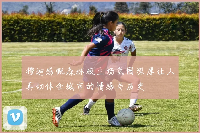 穆迪感慨森林狼主场氛围深厚让人真切体会城市的情感与历史